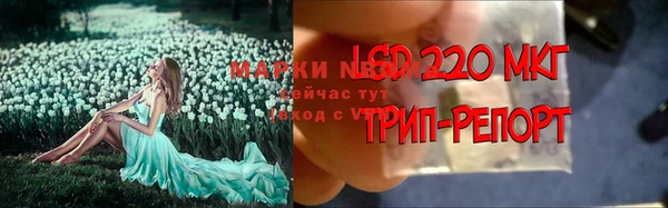 скорость Алзамай