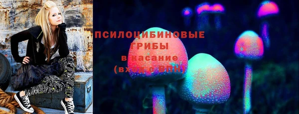 спиды Алексеевка