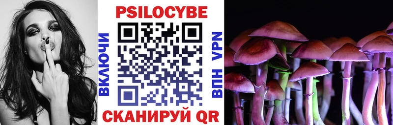 купить наркоту  блэк спрут маркетплейс  Галлюциногенные грибы мухоморы  Переславль-Залесский 